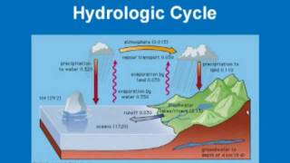 Limnology  Hydrologic Cycle [upl. by Villiers912]