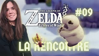 ZELDA EOW 9  On rencontre Costré  Patschou [upl. by Rednasxela]