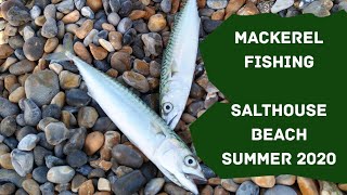 Summer 2020 Mackerel Fishing  Salthouse Beach North Norfolk  Catch And Cook Quest  Special Guest [upl. by Katalin597]