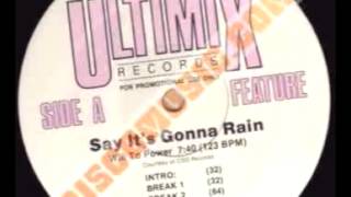 Say Its Gonna Rain Ultimix  Will to Power [upl. by Teri]