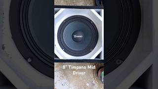 Are Timpano speakers as good as they are hyped up to beThoughts 💭 subspalmbeach palmbeachcounty [upl. by Jaddo]