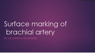 brachial artery surface markingsurface anatomy of brachial artery [upl. by Florian463]