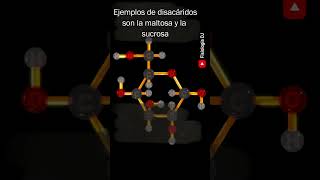 ¿Que son los carbohidratos  Carbohidratos ¿Qué son  Funciones  Ejemplos [upl. by Earl266]