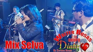 GRUPO DIALÍZ  MIX SELVA  EN VIVO  2019 [upl. by Anemaj]