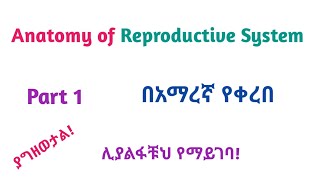 Anatomy of Reproductive System Part 1 Interesting Video with Amharic Speech [upl. by Everest]