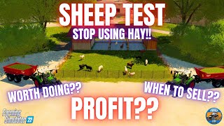 SHEEP TEST  Farming Simulator 22 [upl. by Wiatt]