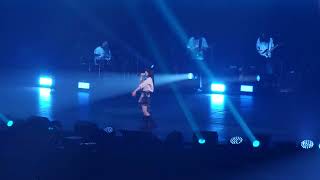 240406 2024 IU HER WORLD TOUR CONCERT IN TAIPEI  Blueming 블루밍 fancam [upl. by Dollie]