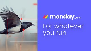 Manage anything track progress and collaborate effortlessly with mondaycom [upl. by Ellehcsar]