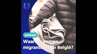 324 Waarom komen buitenlanders naar België [upl. by Myers]