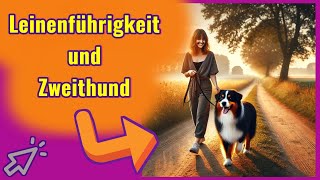 Leinenführigkeit und Mehrhundehaltung 😱 SO GEHTS auch bei deinem Hund 💪🐶💕🐶👍 [upl. by Tait]