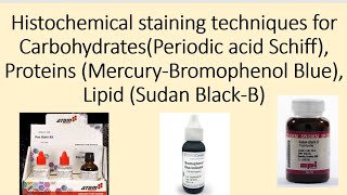 Histochemical staining techniques for Carbohydrates Proteins Lipid [upl. by Norraa]