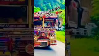 subscribe 50 gahanna udau karapu hamotam thank you digatama apith ekka imu ❤️❤️😎😎😎😎😎 [upl. by Jolda212]