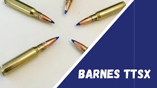 Barnes TTSX Review amp Update [upl. by Duahsar]