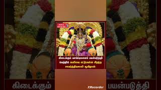 Insta bhakthi tv  reels 74 🙏  Murugan whatsapp status Tamil murugan perumal temple tamilnadu [upl. by Artenahs]