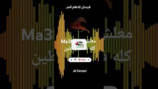 AlForsanفرسانالإعلامالحر Wael alDahdouh Ma3lich Palestine معلش كله فدا فلسطين وائل الدحدوح [upl. by Casilda]