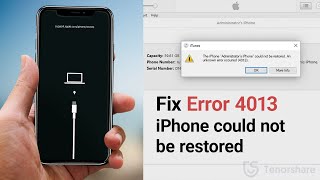 How to Fix iPhone Error 4013 iPhone Could Not Be Restored on iOS 14 iPhone 11XSXRX87 [upl. by Ahcropal136]