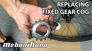 How To Replace A Fixed Gear Cog [upl. by Viridi]