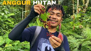 Buah buahan hutan langka dan nostlagia 😋 [upl. by Anavrin36]