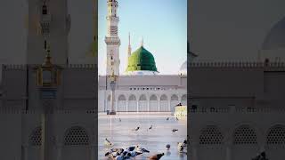 Taiba Bulana Aaqa zalwa Dikhana naats beutifulnaats madina [upl. by Llewsor115]