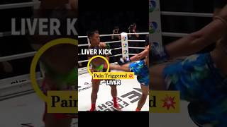 Clean And Smooth Liver Knockout onechampionship [upl. by Clift]