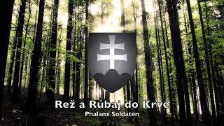 Rež a Rúbaj do Krve  Slovakian Hlinka Guard Song [upl. by Sundin488]