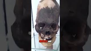 Are Paracas Skulls Proof of Ancient Alien Life [upl. by Georgianna]