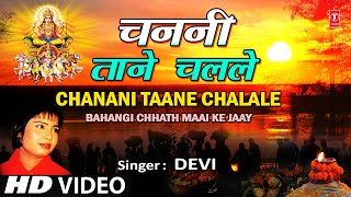 बोल कहिया होई दुबारा  Bola Kahiya Hoi Dubara  Haseena Maan Jayegi  Bhojpuri Song  Wave Music [upl. by Aihsekin]