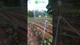 why irrigation system will make you richer then other farmers yuzuak JET 35 Rain gunirrigationtz [upl. by Kawasaki]