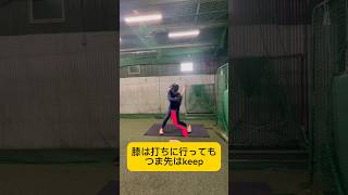 baseball skill baseball batting homerun mlb プロ野球 バッティング 野球選手 ホームラン 打撃フォーム メジャーリーグ workout [upl. by Mussman678]