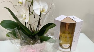 Premium Champagne Review Ruinart Blanc de Blancs [upl. by Aihsotan896]