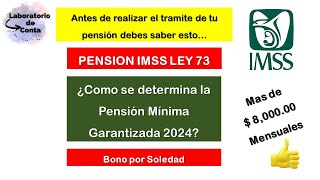 Pensión Mínima Garantizada 2024LEY 1973 IMSS 4 Datos que debes saber antes de pensionarte [upl. by Naillimxam268]