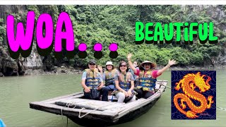 Vietnam view  rowing boat in halong bay video travel shortvideo dulich thinhhanh funny [upl. by Aubreir]