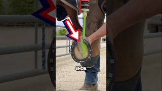 Pouring green liquid in a horseshoe 😱 shorts oddlysatisfying [upl. by Rasec]