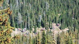 Cinnabar Trail Idaho [upl. by Ecneret400]