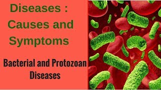 Diseases  Bacterial and Protozoan Diseases [upl. by Eads]