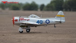 P47 THUNDERBOLT GPEP SIZE 3035CC SCALE 16 ¼ ARF PH141 PHOENIXMODEL [upl. by Quentin]