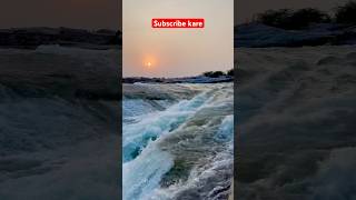 Ganges River Dolphin return amazingfacts news interestingfacts gk upsc motivation shorts [upl. by Basham]