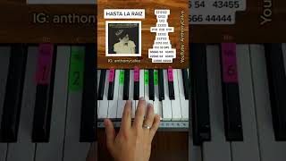 Hasta la Raíz  Natalia Lafourcade PIANO TUTORIAL EASY Piano Fácil Con Números [upl. by Abrahamsen]