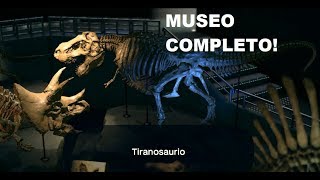 MUSEO COMPLETO DE FOSILES FULL FOSSIL MUSEUM ANIMAL CROSSING NEW HORIZONS [upl. by Gass]