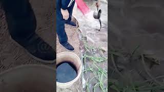 The process of adding water and fertilizer during irrigation [upl. by Arraek]