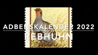 Das Rebhuhn  Adbenskalender 19 2022 [upl. by Ushijima678]