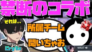 【Crylix】禁断のコラボ！？”NIRUさん”にまさかの質問をされる最強の16歳【日本語字幕】【Apex】【Crylix切り抜き】 [upl. by Eidak]