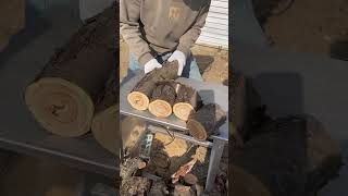 Wood cutting blade viralvideo woodworking decoration tools shorts [upl. by Estell]