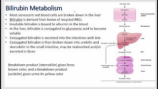 Gastrointestinal Physiology  Liver Function Lipoproteins Good and Bad Cholesterol and the Colon [upl. by Corinna599]