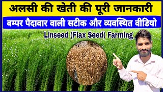 अलसी की खेती की पूरी जानकारी  Alsi Ki Kheti Ki Puri Jankari  Linseed Farming  Flax Farming [upl. by Macintosh697]