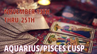 AQUARIUS PISCES CUSP EVERYTHING IS WORKING OUT IN YOUR FAVOR 😃 ITS OKAY NOVEMBER 13TH 25TH [upl. by Brande]