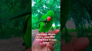 Tiya pakhir khabar khabar video টিয়া পাখির খাবার খাওয়ার ভিডিও [upl. by Ybur]