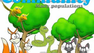 Ecology Introduction [upl. by Alemap]