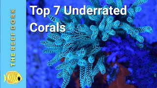 Top 7 Easy ish Underrated Corals [upl. by Wall]