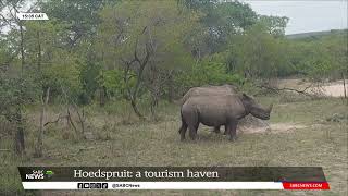 Hoedspruits safety wildlife and bushveld draws in the tourism crowds [upl. by Carberry694]